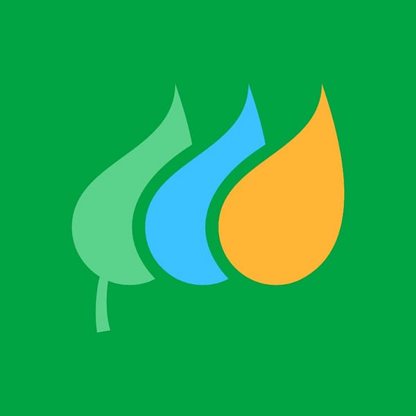 IBE logo